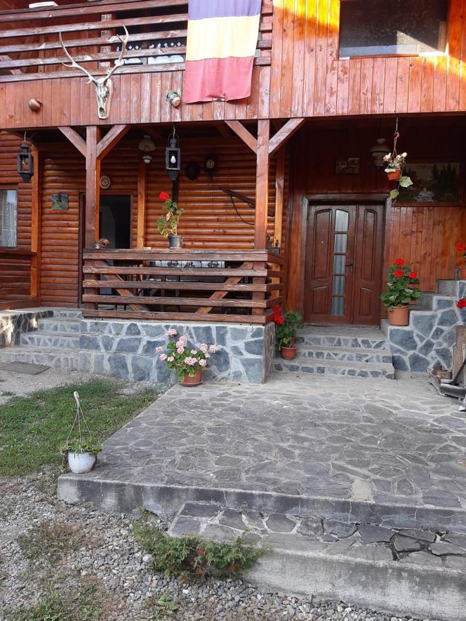 Pensiunea Codru Salciua de Jos Exterior photo